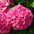 67f7994eea453ad30fff672b9ed42b24.webp