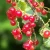 6a789afd7961e3c2a82096df9546ae32.webp