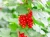 158b11794da2f69d007c206c3e3bdd57.webp