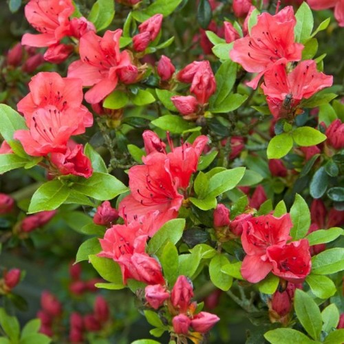 1cbd081a60d70dd5f1dd18fa72d52491.jpg