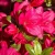 f5c6dcd8b460e87638329cf04d3c0d53.webp