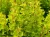 498d5ac938ec50d0350454bbfd14ddf5.webp
