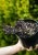 7b192cb2e7b93ea6a1f2cad922abdffe.jpg