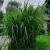 d3781d2fc9afb62c1eddbc854fe47fff.jpg