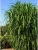 9357efcf4047ddf8864d1d7805ef916d.webp