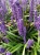 99171971a728ce4614af973de856193b.webp