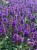0831b2d0a94fe46ba5bef241a0f2da93.jpg