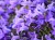 67c0dcb476d7002d045996941017d946.webp