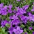 38b805ea0796ed10c225b63148e964f4.webp