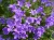 503365370e358b2ba7976202463a8e37.webp