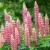 e561384372c85a15337165f705649ad5.webp