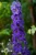30935ac47f8b56f7a5e856bfce0c72c4.webp
