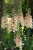 e12712d56e38dc6a030c5a9e7a63d5b1.webp