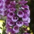 5d24bdeff54e5f78733e059465544729.webp