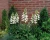 98f9267c151925bac6fe2d7afadeb877.webp