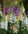 af9b8f545fd121a029291b2faa0bb220.webp