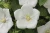 2b03165623a2dfce35cd3d9e60746f0e.webp