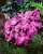 a0ce3ffcbb286ea12b415236cdb5895d.webp