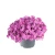 6238c1cff7b852873913357cd61ff552.webp