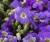 bcb9db6f068ad9fe8c897885ae3bf9cf.webp
