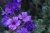 5f0e6ed576db3ed16307702873349bc0.jpg
