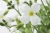da81ff597247877ac0034bf7b4d85652.webp