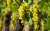 f65b25217ea8f8175877e610fee3a2c7.png