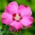 213f64bd1073cae9d13347992176694b.jpg