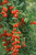 d46b387642a6b6484e606c33a09fd5e5.png