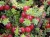 6002f4e9e7ad2ceca554cd94a2b4a007.webp