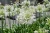 b57146e778ba58519df40303bdbc2c4a.webp