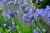 3b5824fed3cdfe9de1aa078cc9d4d77b.webp