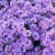 b736e3c5cd5940fc21d8b2f838a3d7a4.jpg