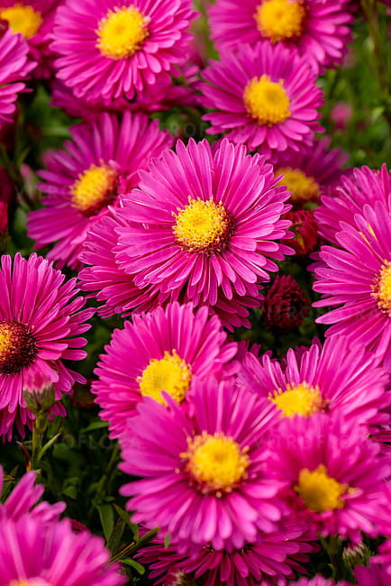 a6aea6c228ab2d3af41b012055f816f2.jpg