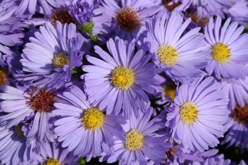 87540e4715afa5d5e49bee9be445fb81.jpg