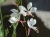 d2c8cf0995645a9260a2d65361de37ff.webp