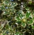 929d36e9b70c4064c6f7af7b1e582c25.webp