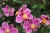 34385cb8c93a55cb5d80d974ca03c295.webp