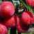 00adb611f03212dfefd1fd5f57a3f4cb.png