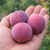 d26548b5eab5c6df35f08a618e6368d0.png