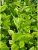 534b5eba2aabec15f7acd7076f1fb754.webp