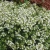 c15953cef009b009ebb33bb9fc1dcd3a.webp