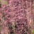 72d3c57eb6b3d761bec46e2a736fc2bb.jpg