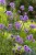 bb8fc5d7ab5cef75eae309d89686cf8a.jpg