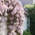 f883050cc4f1e01b111fd0007acd7897.webp