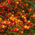 1dcede3c5be7f444b79ae375f5dcb4fd.png