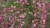 adf760aed98fc5110c0761ab9fd0827a.webp