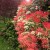 17d7c85a5b5a1648edde35dd97cd9f62.jpg