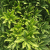 6aae8b603dad567b173e07ebaac219c1.png