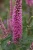 5561e498c852e23ca7c448a0eb04923b.webp